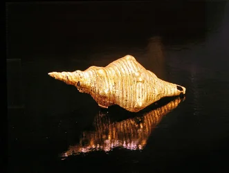 Coquille Muisca